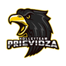 VolleyTeam Prievidza