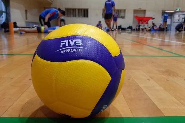 SVF vyhlasuje výberové konanie na trénerov reprezentačných tímov U16 a U20
